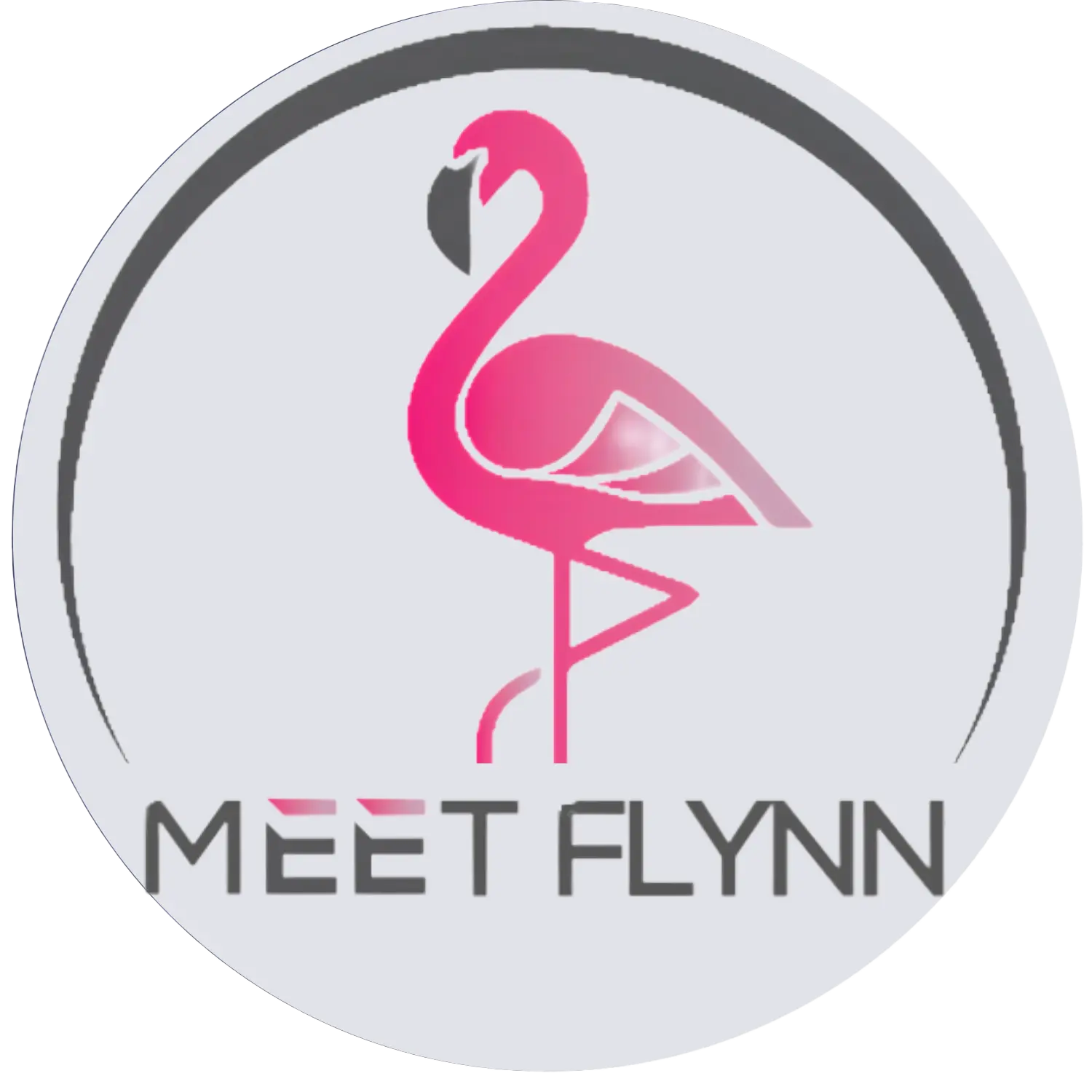 Meet Flynn the flamingo